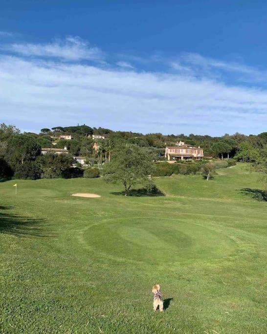 Maison Classee Sur Le Golfe De St Tropez Saint-Tropez Kültér fotó